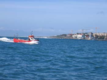 Cascais golven by D. Coster (21)